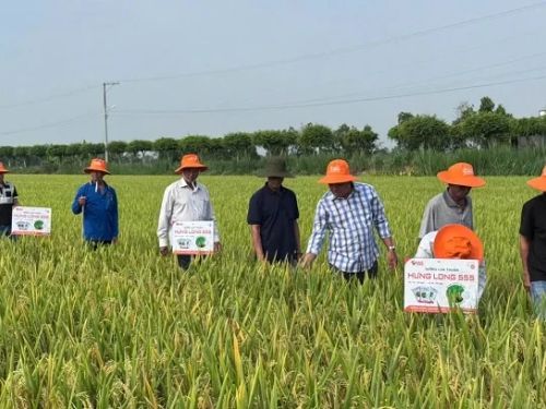 Đổi mới sáng tạo kích hoạt nông nghiệp bứt phá tại Cần Thơ