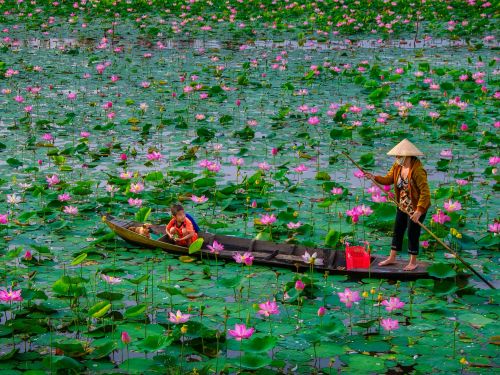 Đồng Tháp phát triển kinh tế nông thôn: Động lực từ công nghiệp chế biến và làng nghề