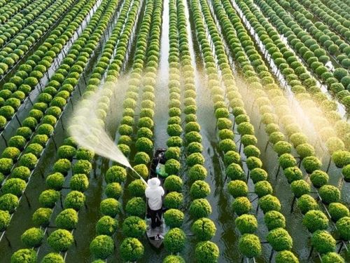 Công nghiệp nông thôn trong chiến lược kinh tế xanh