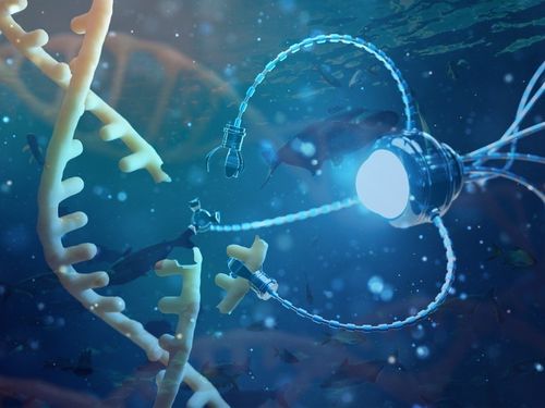 Khi công nghệ nano bước vào chuồng trại: Hướng đi mới cho chăn nuôi bền vững