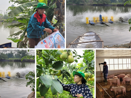 Phát triển công nghiệp nông thôn theo hướng xanh và kinh tế tuần hoàn