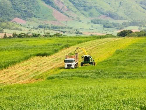 Hướng tới Net Zero: Chuyển đổi từ nông nghiệp đến năng lượng xanh