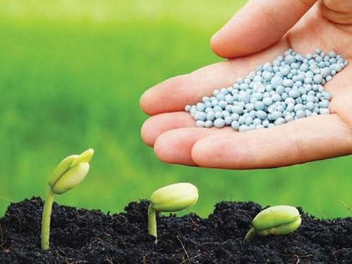 Thúc đẩy phát triển ngành phân bón nông thôn bằng đổi mới công nghệ