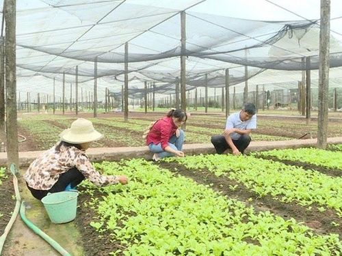 Xây dựng nông thôn mới: Giữ gìn làng nghề, phát huy giá trị văn hóa truyền thống
