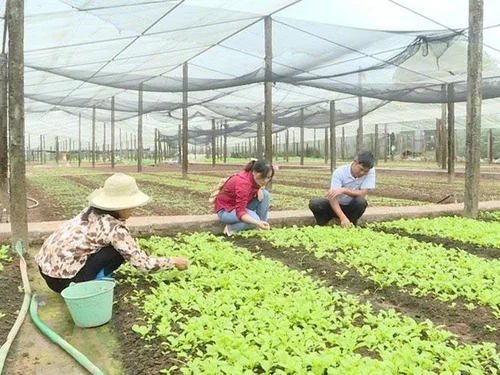 Xây dựng nông thôn mới: Giữ gìn làng nghề, phát huy giá trị văn hóa truyền thống