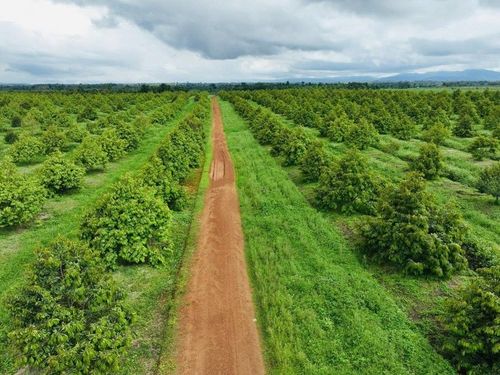 Ngân hàng OCB và Tập đoàn Hoàng Anh Gia Lai hợp tác thúc đẩy kinh tế xanh