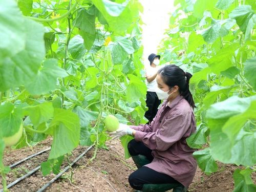 Khả thi mục tiêu 65 tỷ USD xuất khẩu nông, lâm, thủy sản