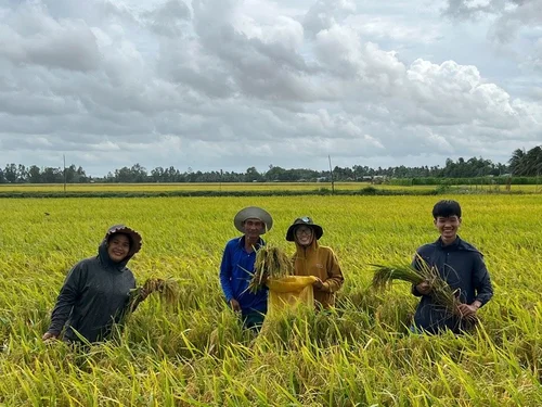 Những bước tiến vượt bậc trong canh tác lúa chất lượng cao, phát thải thấp