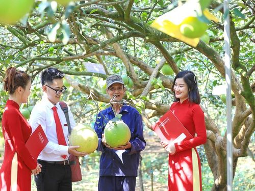 Agribank triển khai tín dụng xanh, góp phần thực hiện mục tiêu phát thải ròng bằng ‘0’