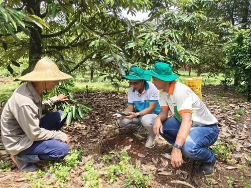 Phú Mỹ hợp tác cùng Enfarm: Bước tiến lớn trong chuyển đổi số nông nghiệp Việt Nam
