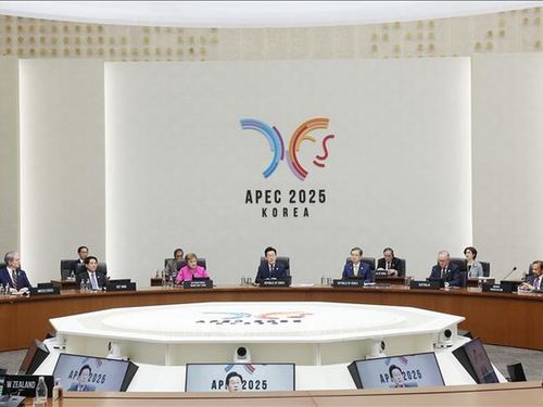 Dự phiên thứ nhất Hội nghị Cấp cao APEC: Chủ tịch nước Lương Cường đề xuất 3 trọng tâm