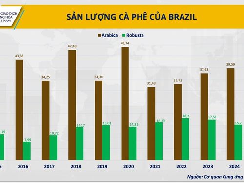 THỊ TRƯỜNG HÀNG HÓA: Khủng hoảng kép trên toàn thị trường cà phê