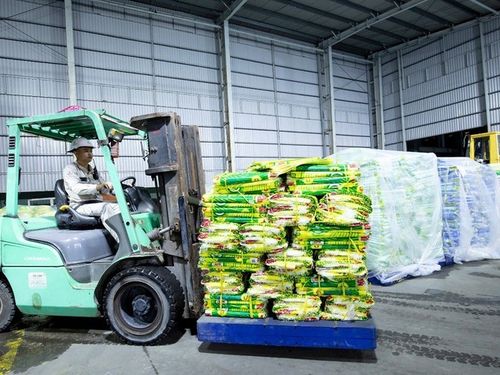 PVCFC khẩn cấp hỗ trợ vật tư chống lũ tại Đà Nẵng và Đắk Lắk