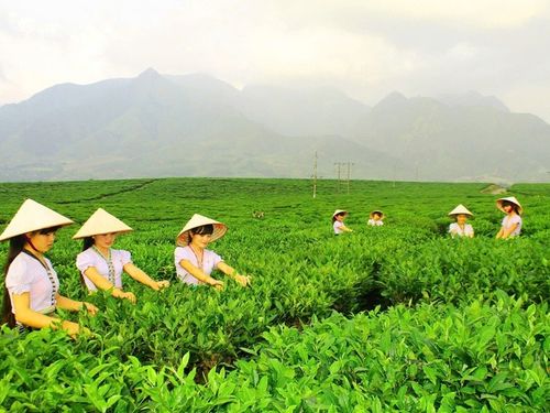Sắp diễn ra Ngày hội sản phẩm vùng đồng bào dân tộc thiểu số và miền núi phía bắc
