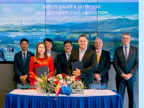 Sức mạnh liên kết: Bệ phóng giúp doanh nghiệp sữa Việt vươn tầm thế giới