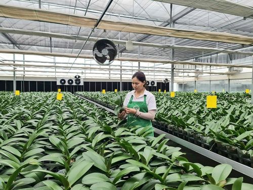 Kiến tạo nông thôn mới: Bứt phá từ nông nghiệp công nghệ cao và chuyển đổi số
