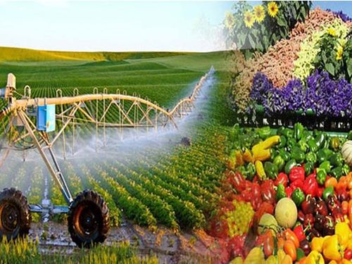Sửa Luật Thuế GTGT: Khơi thông hoàn thuế, giảm áp lực vốn cho nông nghiệp và xuất khẩu
