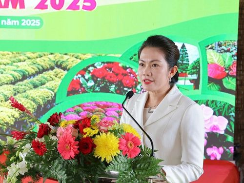 Festival Hoa – Kiểng Sa Đéc 2025: 'Sắc hoa ngày mới' hứa hẹn mùa lễ hội bùng nổ