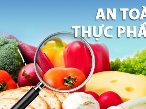 Nâng cao nhận thức ATTP cho hộ sản xuất nhỏ lẻ: Vai trò của truyền thông khoa học