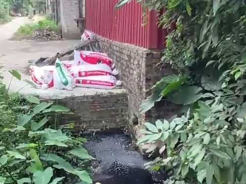 Quản lý chất thải chăn nuôi: Tác động đến sức khỏe và môi trường