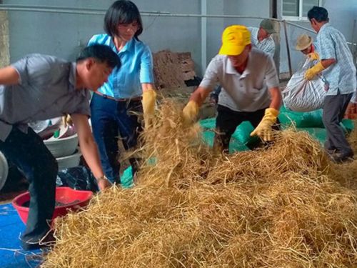 Ứng dụng công nghệ sinh học trong xử lý rác thải nông thôn