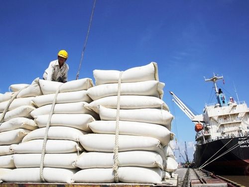 Xuất khẩu gạo: Tìm dư địa tăng trưởng từ các FTA và thị trường mới
