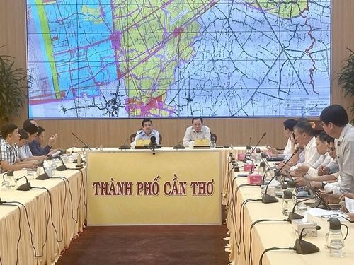 Phối hợp đảm bảo tiến độ dự án đường dây 500 kV LNG Bạc Liêu - Thốt Nốt