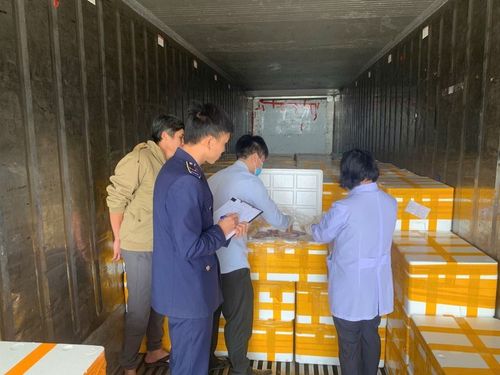 Phát hiện trên 10 tấn cá khoai chứa chất bảo quản cực độc