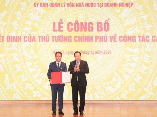 Ông Tô Dũng Thái – Kiến trúc sư hành trình số của VNPT