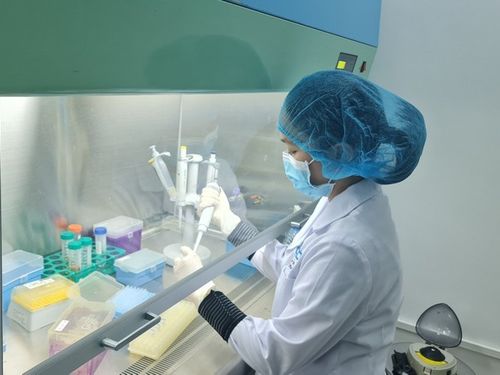 Đột phá về công nghệ giám định ADN hài cốt liệt sĩ tại Việt Nam