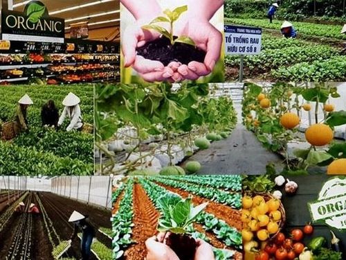 Nông sản sạch: Tuyến phòng thủ đầu tiên bảo vệ sức khỏe người dân