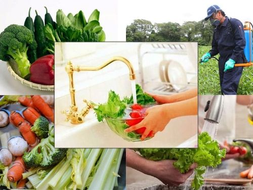 Thực trạng tồn dư thuốc bảo vệ thực vật trong nông sản hiện nay: Mối lo âm thầm đối với sức khỏe cộng đồng
