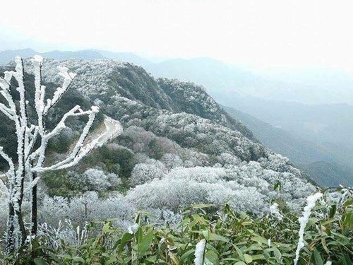 Chủ động ứng phó rét đậm, rét hại