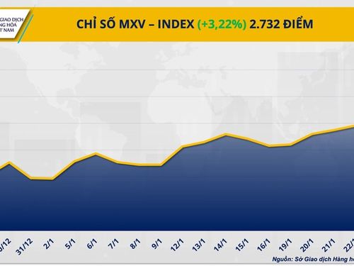 THỊ TRƯỜNG HÀNG HÓA: Dòng tiền đổ mạnh, MXV-Index lập đỉnh cao mới