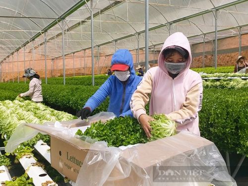 Chế biến, bảo quản nông sản – nền tảng cho hệ sinh thái thực phẩm an toàn
