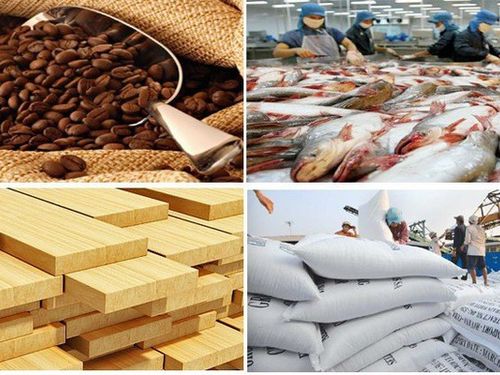 Chế biến nông sản, thủy sản: Hướng đi bền vững cho kinh tế nông thôn gắn với sức khỏe và môi trường