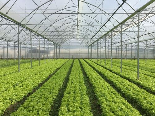 Thiết kế bộ điều khiển tự động và khảo nghiệm ảnh hưởng của tần số dao động đến lực ghim cảm biến độ ẩm vào giá thể,  áp dụng trên mô hình rô bốt trong nhà màng