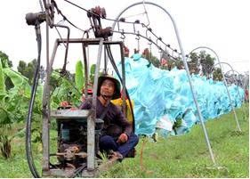 Kết quả nghiên cứu thiết kế chế tạo và khảo nghiệm  Thiết bị vận chuyển buồng chuối trên đường ray treo