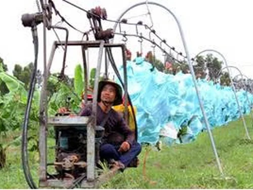 Kết quả nghiên cứu thiết kế chế tạo và khảo nghiệm  Thiết bị vận chuyển buồng chuối trên đường ray treo
