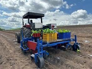 Kết quả nghiên cứu hệ thống thiết bị cơ giới hóa một số khâu canh tác chuối qui mô tập trung