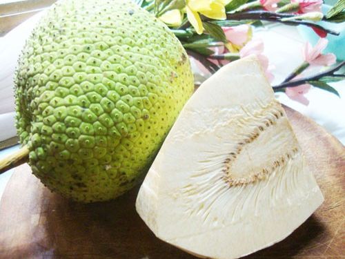 Nghiên cứu thực nghiệm sấy trái Sa Kê thái lát bằng bơm nhiệt kết hợp bức xạ hồng ngoại