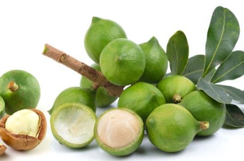Bài báo: “Nghiên cứu một số thông số chính của máy bóc vỏ xanh quả Mắc Ca”