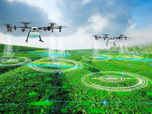 Tự động hóa trong nông nghiệp: Cơ hội và thách thức – tích hợp robot và máy móc trong canh tác