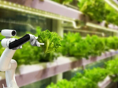 Số hóa nông nghiệp: Khi dữ liệu trở thành “chìa khóa” nâng tầm giá trị nông sản