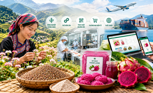 [Infographic] Đặc sản vùng cao: Đưa công nghệ vào chuỗi giá trị để mở rộng thị trường