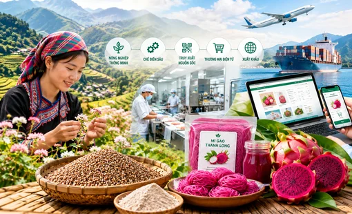 [Infographic] Đặc sản vùng cao: Đưa công nghệ vào chuỗi giá trị để mở rộng thị trường
