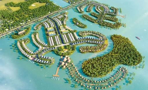 Gia Lai quy hoạch lại khu nhà ở gần 118 ha ven đầm Thị Nại: Ưu tiên rừng ngập mặn