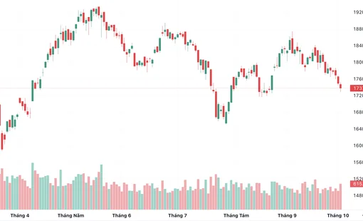 Chứng khoán phiên 2/10: VN-Index giảm 11,59 điểm, PNJ và NVB gây chú ý
