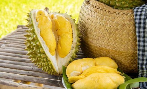 Giá sầu riêng hôm nay 2/10: Sầu Thái tăng tại Lâm Đồng, Ri6 giảm ở miền Tây