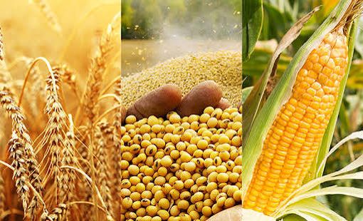 Mở rộng thị trường hàng hóa phái sinh, hướng tới hình thành giá tham chiếu trong nước